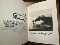 The Boy, The Mole, The Fox and The Horse by Charlie Mackesy ILLUSTRATED CHILDREN