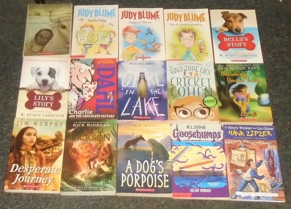 25 Children’s Books LOT 1 ages 8-12 4th-8th Grades Middle Grades MG Accelerated+