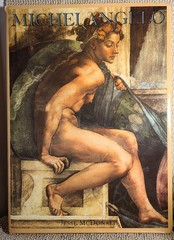 Michelangelo by Jesse McDonald (1995 Hardcover) 112 Pages with Dust Jacket