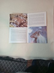 $3.45 – Discover New Zealand, booklet, Wild Animals of New Zealand