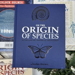 Set of 7 Illustrated Books with Slipcases Arcturus Publishing