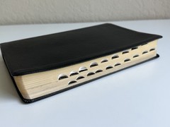 Tim Lahaye Prophecy Study Bible KJ Genuine Black Leather Red Letter Edition