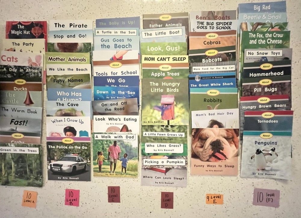 60 RR Books F&P Text Level decodable Leveled (A-F) Readers Lot, Paperback