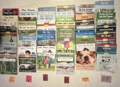 60 RR Books F&P Text Level decodable Leveled (A-F) Readers Lot, Paperback