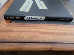 Damien Hirst: Drawings by Ralph Gleis Book Art