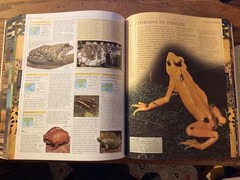 Smithsonian Institution Animal : The Definitive Visual Guide to the World’s…