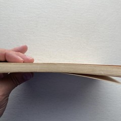 Vintage 1955 L’Étranger Albert Camus Appleton-Century-Crofts PB USA French Novel