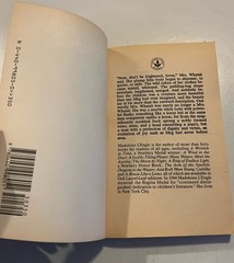 A Wrinkle in Time by Madeleine L’Engle 1976 vintage paperback Stranger Things
