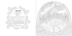 Animals: A Smithsonian Coloring Book Box Set, Smithsonian Institution, Excellent