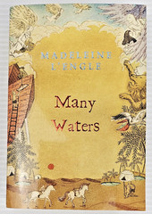 Madeleine L’Engle Book Set Wrinkle In Time, Swiftly Tilting Planet, Many Waters+