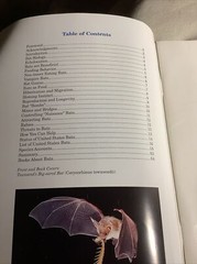 VTG Books Of BATS OF THE UNITED STATES ~ 64 Pages