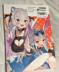 Kadokawa Selfie Girl Japanese Illustration Book Paperback by Gao