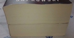 Andrzej Sapkowski Hussite books #1 _ #2 PB Tower of Fools Warrior of God 1st Ed