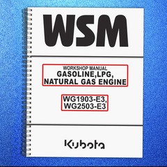 KUBOTA GASOLINE LPG NATURAL GAS ENGINE WG1903-E3 WG2503-E3 WORKSHOP MANUAL WSM