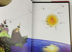 THE ILLUMINATED RUMI by Jalal Al-Din Rumi Fully Illustrated Hardcover *Like New*