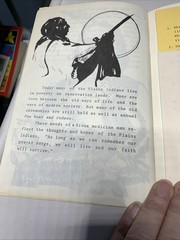 Indians Of The Plains By Anne Hall 26 Pages