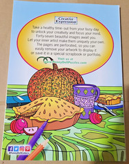 COLORFUL ESCAPES – A Bounty of Color! Vol. 22 – Adult Coloring Book – 47 Pages