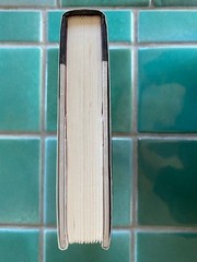 Yugoslavia : Death of a Nation by Laura Silber and Allan Little HC DJ ex-library