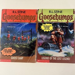 Vintage Goosebumps Book Lot of 13 R.L. Stine PB Horror Books Chapter Books Kids
