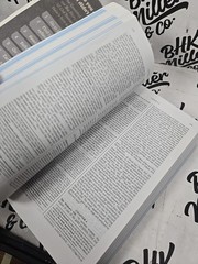 American Bible Society Holy Bible E100 Military Edition, Paperback, Military