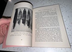Home Manufacture Of Furs And Skins By Farnham 283 Pages Softcover Book