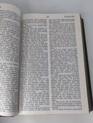 Thomas Nelson KJV Giant Print Reference Bible Burgundy Leather Flex