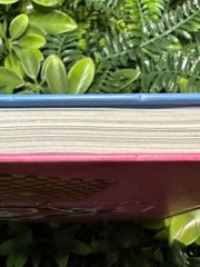 BAGS: A Lexicon of Style Bag Design & Usage Visual Guide Fashion Book