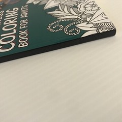 Coloring Book For Adults For Mindful People Stress Relieving Designs Volume 2 NW