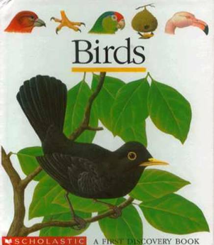 Birds First Discovery Books – Hardcover By Scholastic – GOOD
