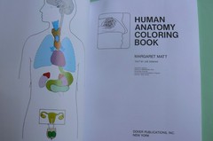 Dover HUMAN ANATOMY Coloring Book,Ziemian/Matt, ALL CLEAN! 44-pages