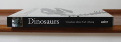 Dinosaurs & Other Prehistoric Animals Book 448 Pages, Amber Books – VGUC