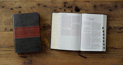 ESV Giant Print Personal Size Bible, Red Letter, Thumb Indexed (Trutone, Forest/