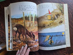 Gnomes by Wil Huygen & Rien Poortvliet 1977 Hardcover Illustrated Dust Jacket
