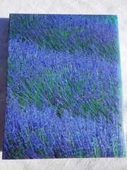 PROVENCE FRANCE Photo Book GERMAN Harald Mertes Bonhage Hans-Joachim Photography
