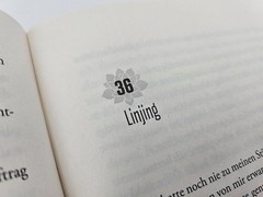 Jane Yang Die Lotosschuhe
