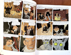 The Rabbi’s Cat graphic novel (2005 1st American paperback edition, SC) Like New