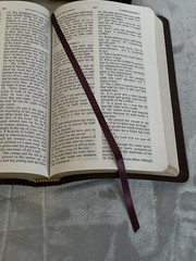 The Jack Van Impe Prophecy Bible Second Edition KJV Bonded Leather Red Letter