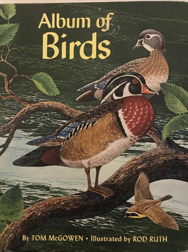 Album of Birds by Tom McGowen, Rod Ruth – Drawings & Color Illustration￼￼￼￼s