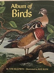 Album of Birds by Tom McGowen, Rod Ruth – Drawings & Color Illustration￼￼￼￼s