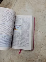 NKJV, Adventure Bible, Leathersoft, Pink, Full Color, Italian Duo-Tone