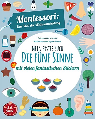 Chiara Piroddi Mein erstes Buch: Die fünf Sinne: Montess (Paperback) (UK IMPORT)