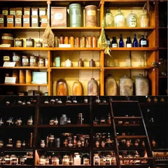 Share The Holistic Home Apothecary 1000+ Forgotten Remedies_book