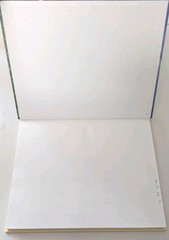 2001 Buddhists, Hindus, and Sikhs in America HC Singh Mann Nunrich Williams 160p