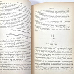 Handbook Pathological Anatomy Histology Delafield Prudden 1889 HC Wood Engraving