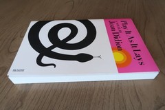 Play It As It Lays by Joan Didion PB Like New Super Fast Free Shipping