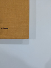 The Buchans Orebodies | 1981 GAC Special Paper 22 | Mining Geology Hardcover