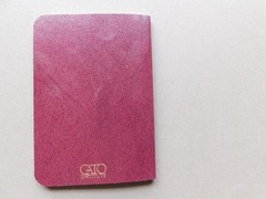 Pocket sized: Declaration of Independance & Constitution – 2019 CATO Inst – red
