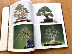 Nihon Bonsai Taikan Ten 17, 18th Set Exhibition Japanese Art Photobook used JPN