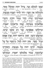 Artscroll Hebrew English Deluxe Interlinear Pocket Size Siddur &Tehillim Set
