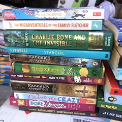 Middle School Children’s Book Lot Of 50 Assorted Ages 9 To 12 Very Good